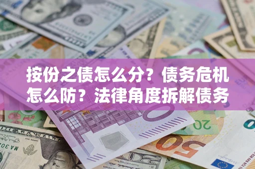 武汉按份之债怎么分？债务危机怎么防？法律角度拆解债务分配与风险自保指南