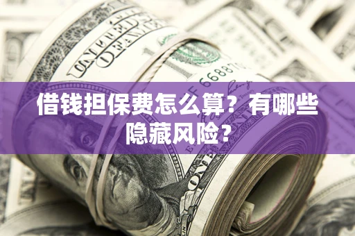 武汉借钱担保费怎么算？有哪些隐藏风险？