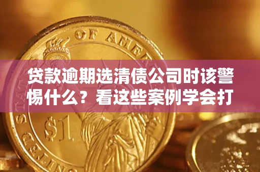 武汉贷款逾期选清债公司时该警惕什么？看这些案例学会打翻身仗