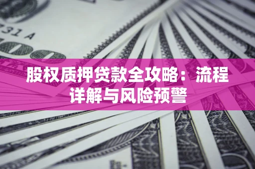 武汉股权质押贷款全攻略：流程详解与风险预警
