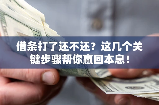 武汉借条打了还不还？这几个关键步骤帮你赢回本息！