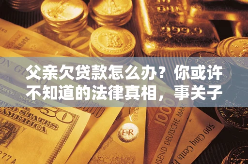 武汉父亲欠贷款怎么办？你或许不知道的法律真相，事关子女未来