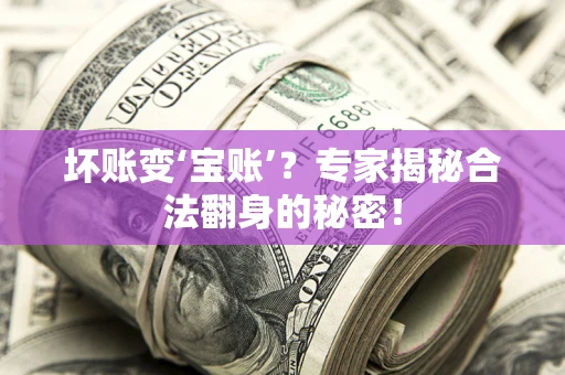 武汉坏账变‘宝账’？专家揭秘合法翻身的秘密！