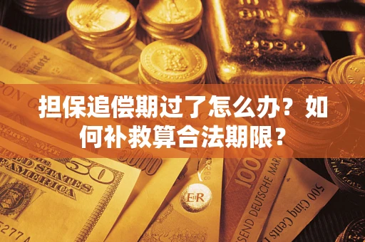武汉担保追偿期过了怎么办？如何补救算合法期限？