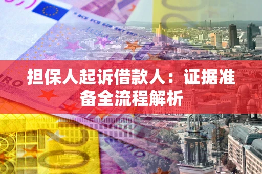 武汉担保人起诉借款人：证据准备全流程解析