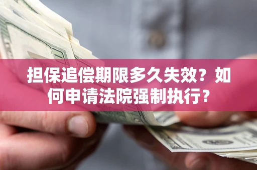 武汉担保追偿期限多久失效？如何申请法院强制执行？