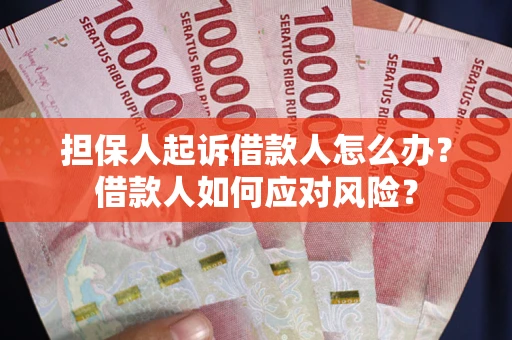 武汉担保人起诉借款人怎么办？借款人如何应对风险？