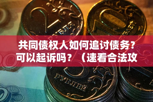 武汉共同债权人如何追讨债务？可以起诉吗？（速看合法攻略）