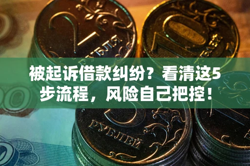 武汉被起诉借款纠纷？看清这5步流程，风险自己把控！