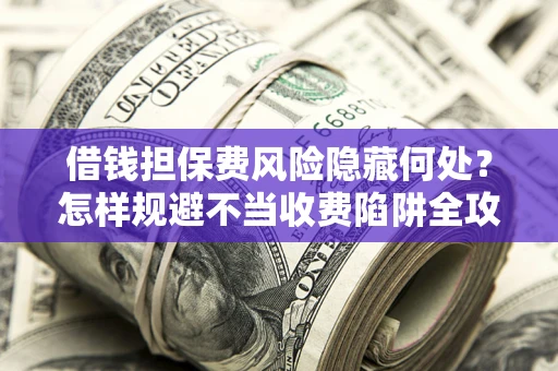 武汉借钱担保费风险隐藏何处？怎样规避不当收费陷阱全攻略！