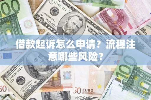 武汉借款起诉怎么申请？流程注意哪些风险？
