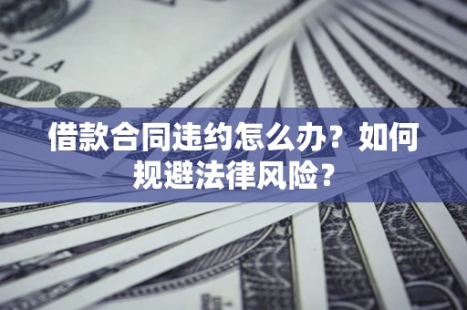 武汉借款合同违约怎么办？如何规避法律风险？