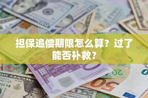 武汉担保追偿期限怎么算？过了能否补救？